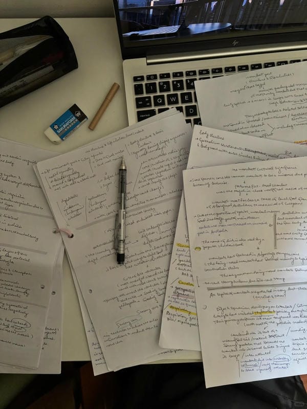 hình ảnh học tập 15