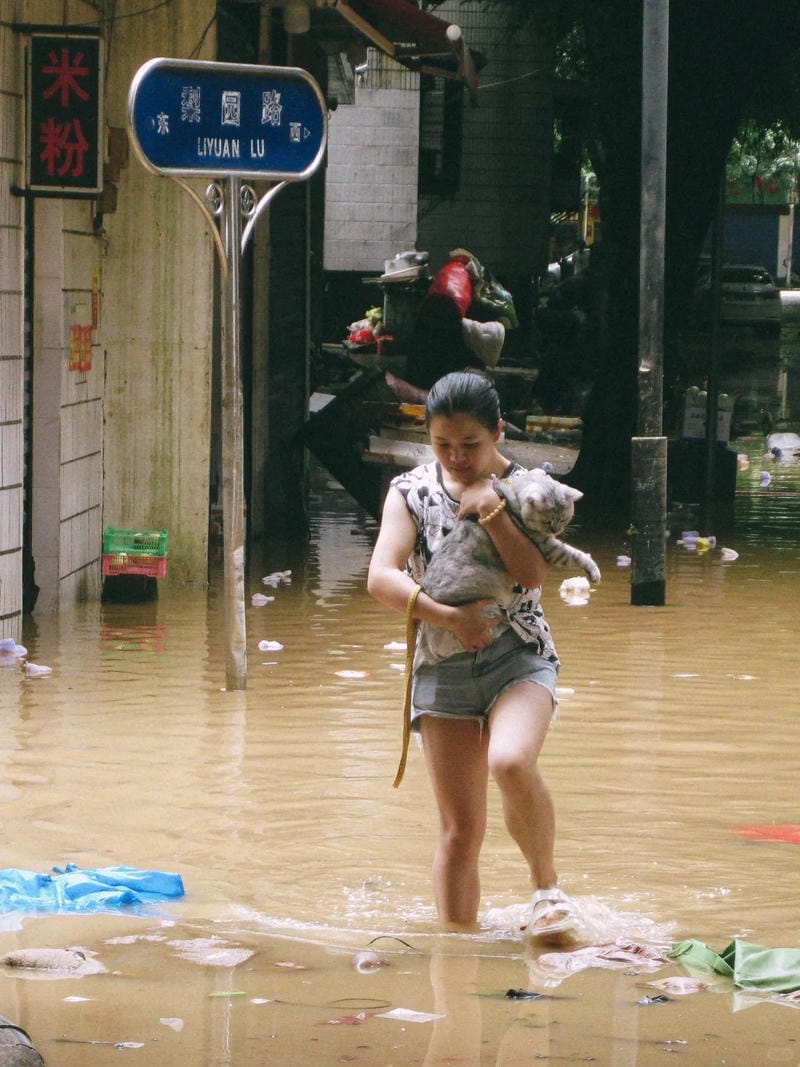 hình ảnh lũ lụt 1