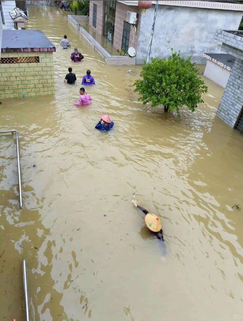 hình ảnh lũ lụt 10