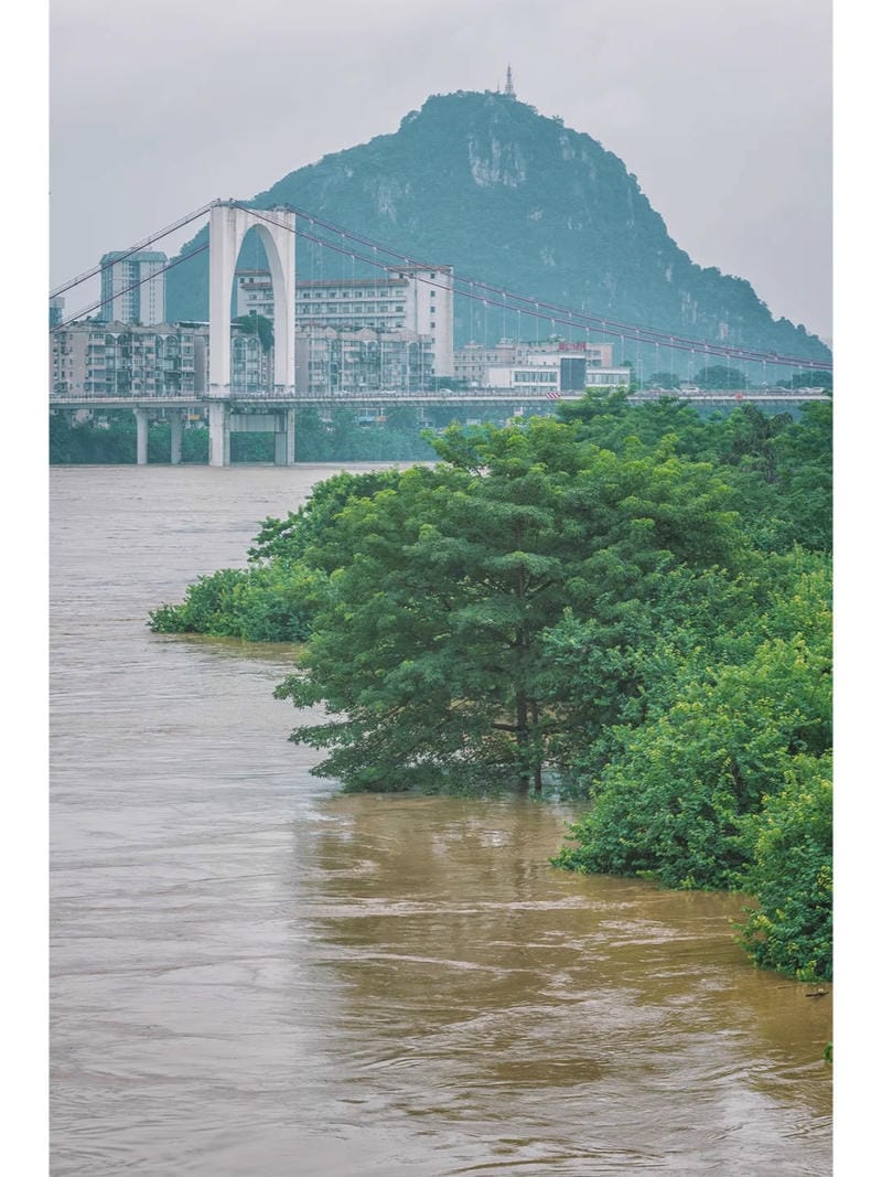 hình ảnh lũ lụt 21