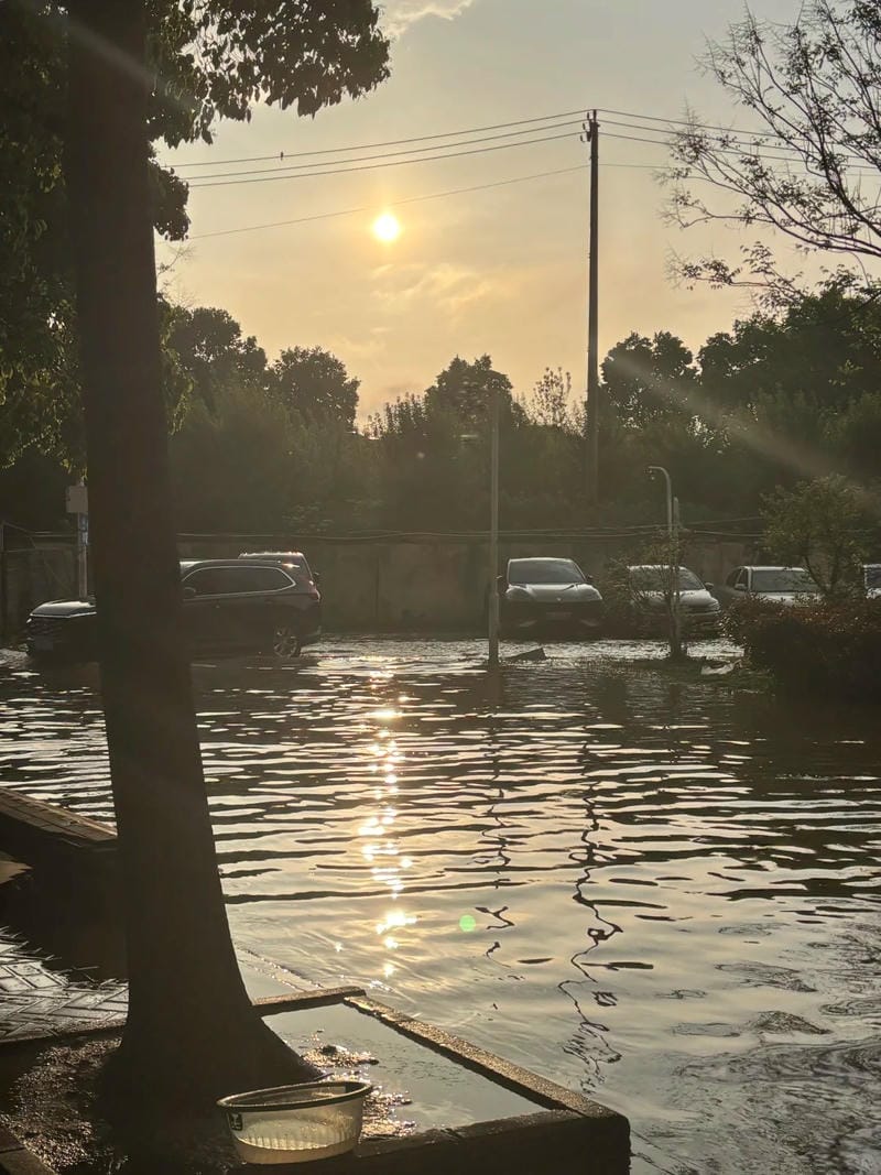 hình ảnh lũ lụt 3