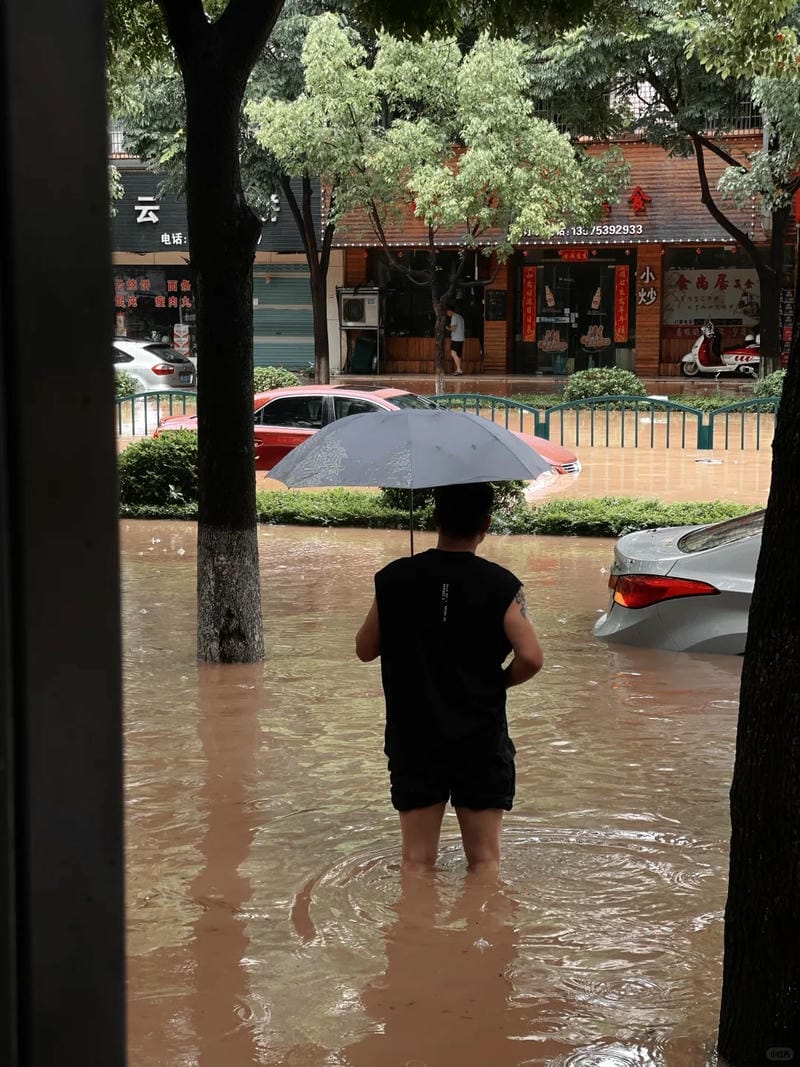 hình ảnh lũ lụt 7