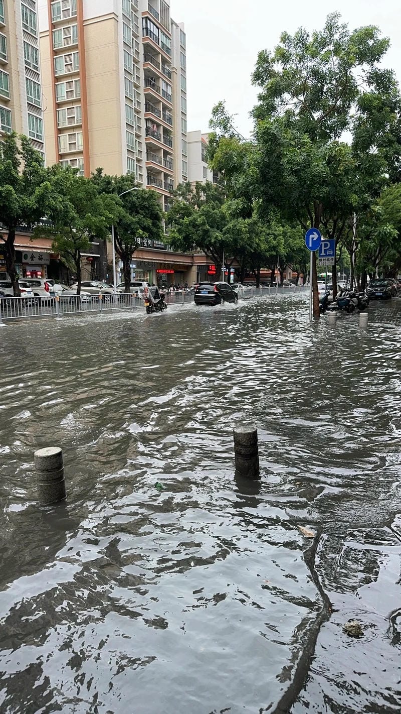 hình ảnh lũ lụt 9